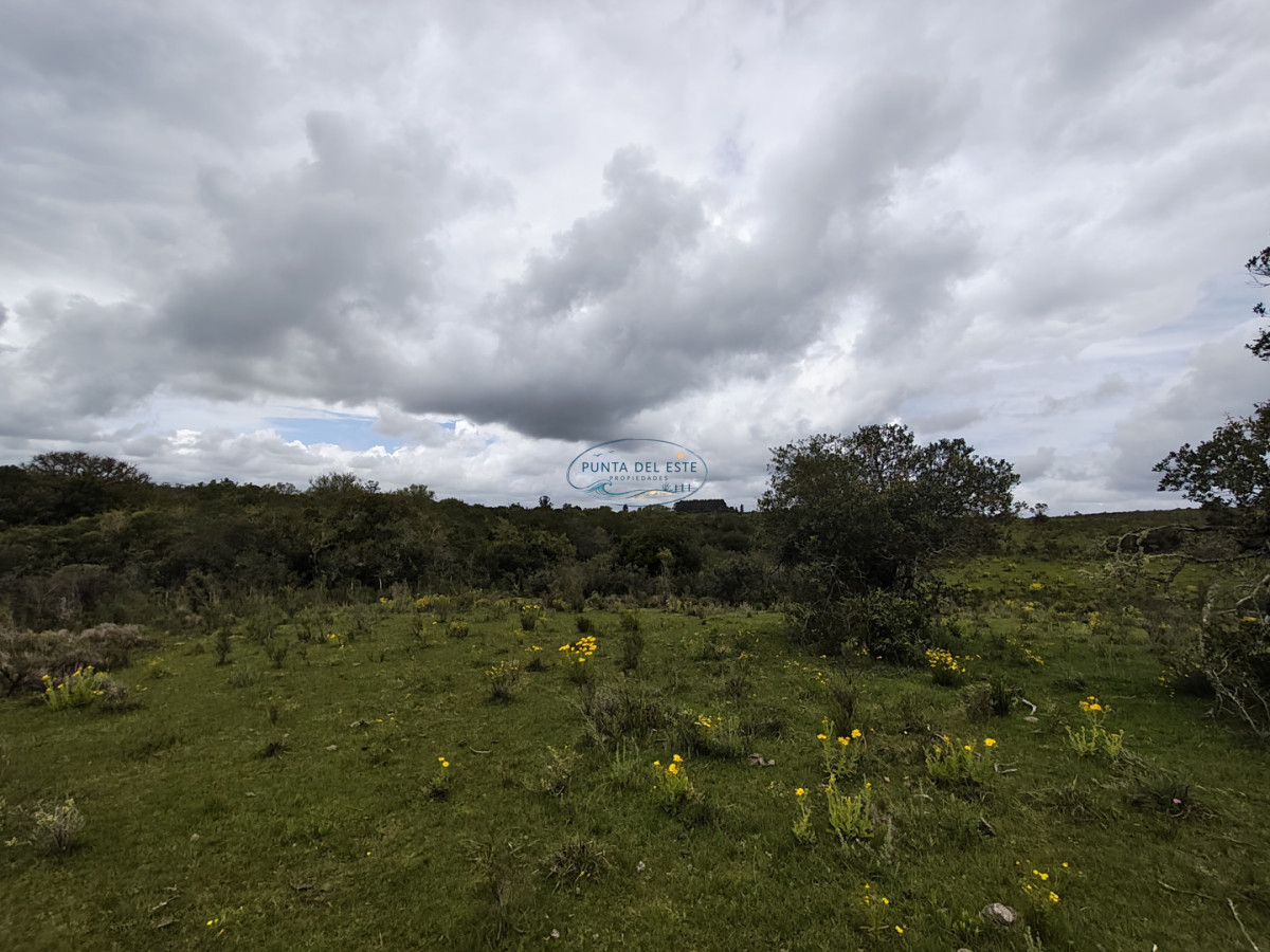 Chacra ID.159 - Venta chacras 3 hectáreas. Pueblo Eden, Maldonado. 