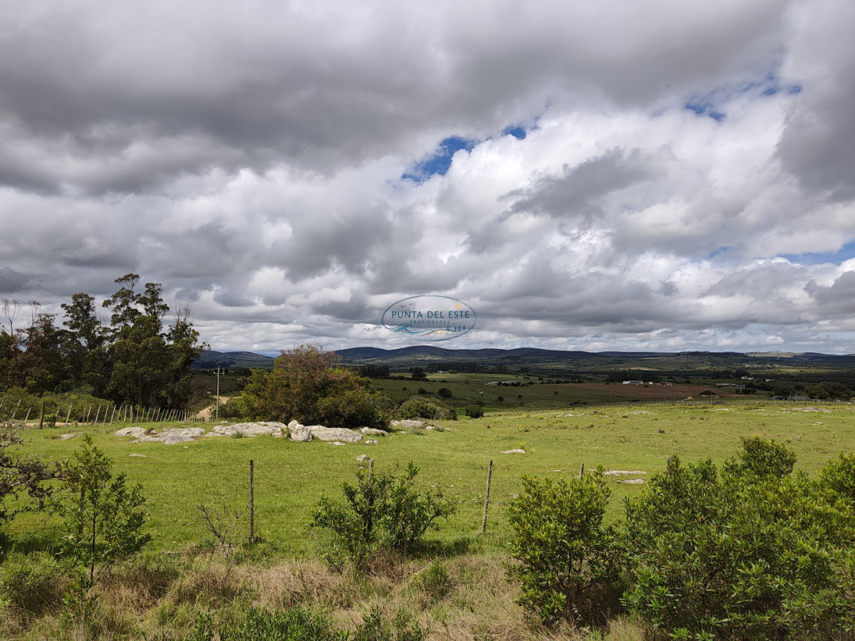 Chacra ID.170 - Venta chacra 5 hectáreas Pueblo Edén. Maldonado. 