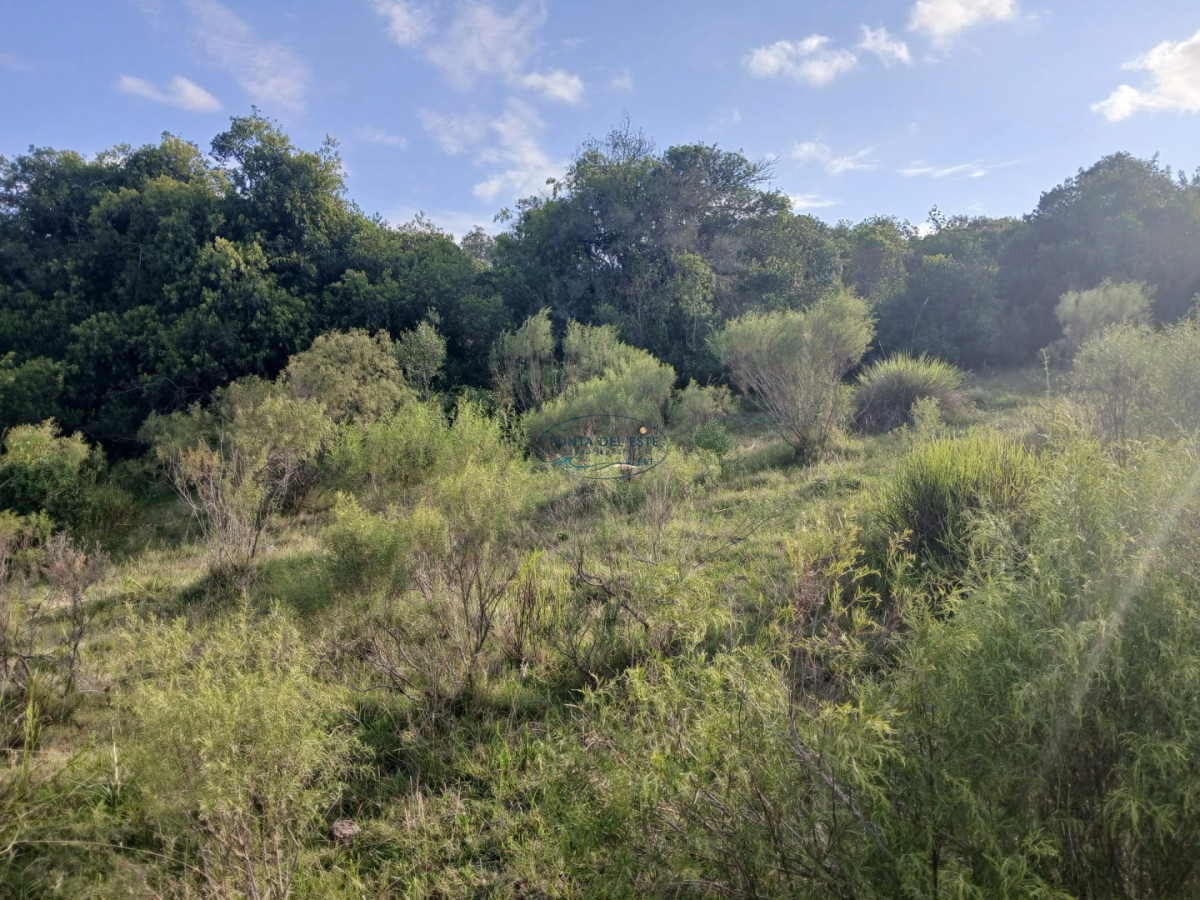 Chacra ID.89 - Venta campó 30 hectáreas. Pueblo Edén, Maldonado. 