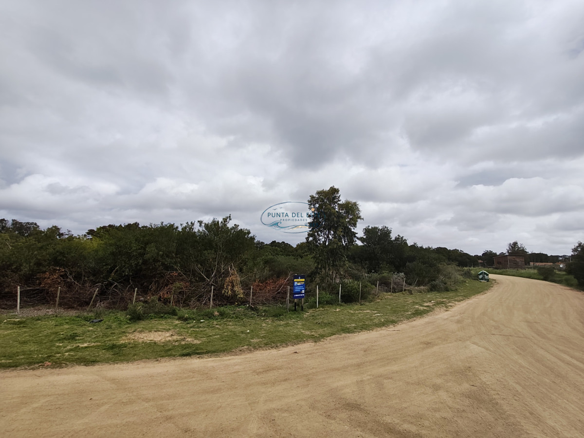 Terreno ID.169 - Gran terreno en venta. Sauce de Portezuelo, Punta Ballena.