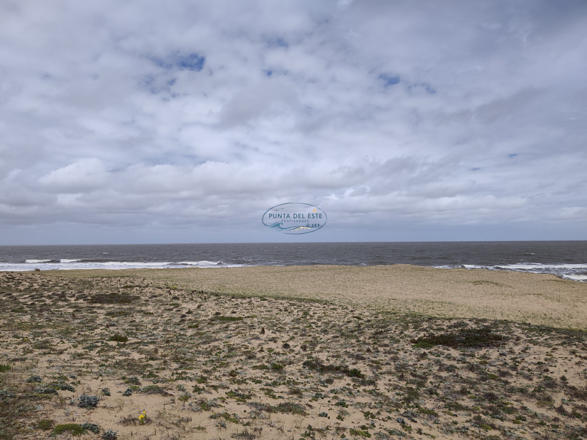 Terreno ID.169 - Gran terreno en venta. Sauce de Portezuelo, Punta Ballena.