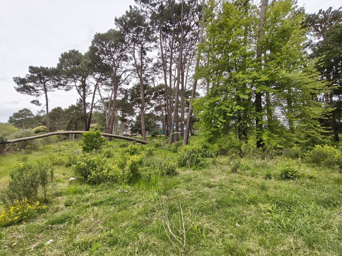 Apartamento ID.191 - Venta terrenos Golf, Punta del Este