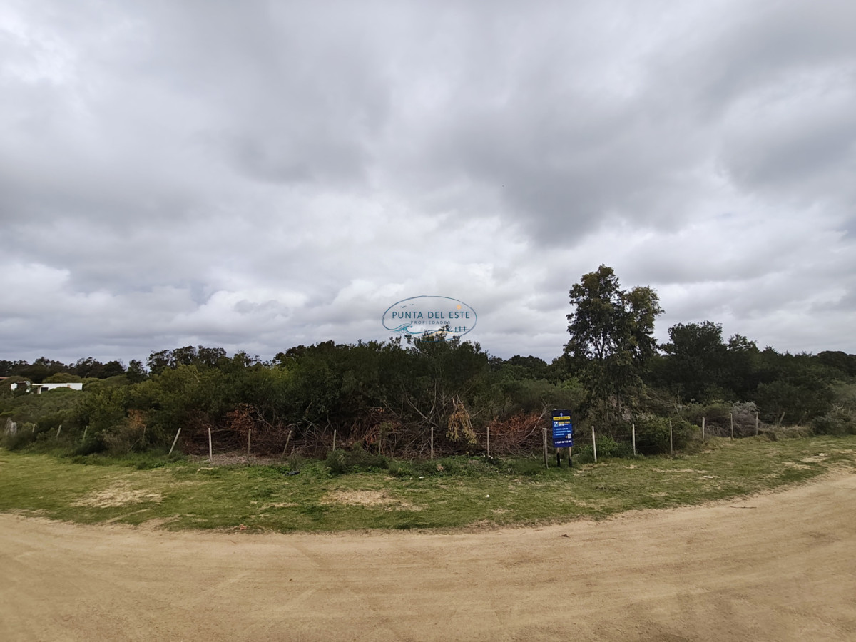Terreno ID.169 - Gran terreno en venta. Sauce de Portezuelo, Punta Ballena.