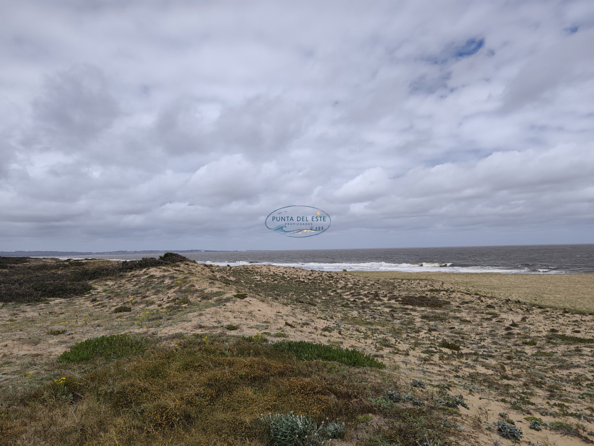 Terreno ID.169 - Gran terreno en venta. Sauce de Portezuelo, Punta Ballena.