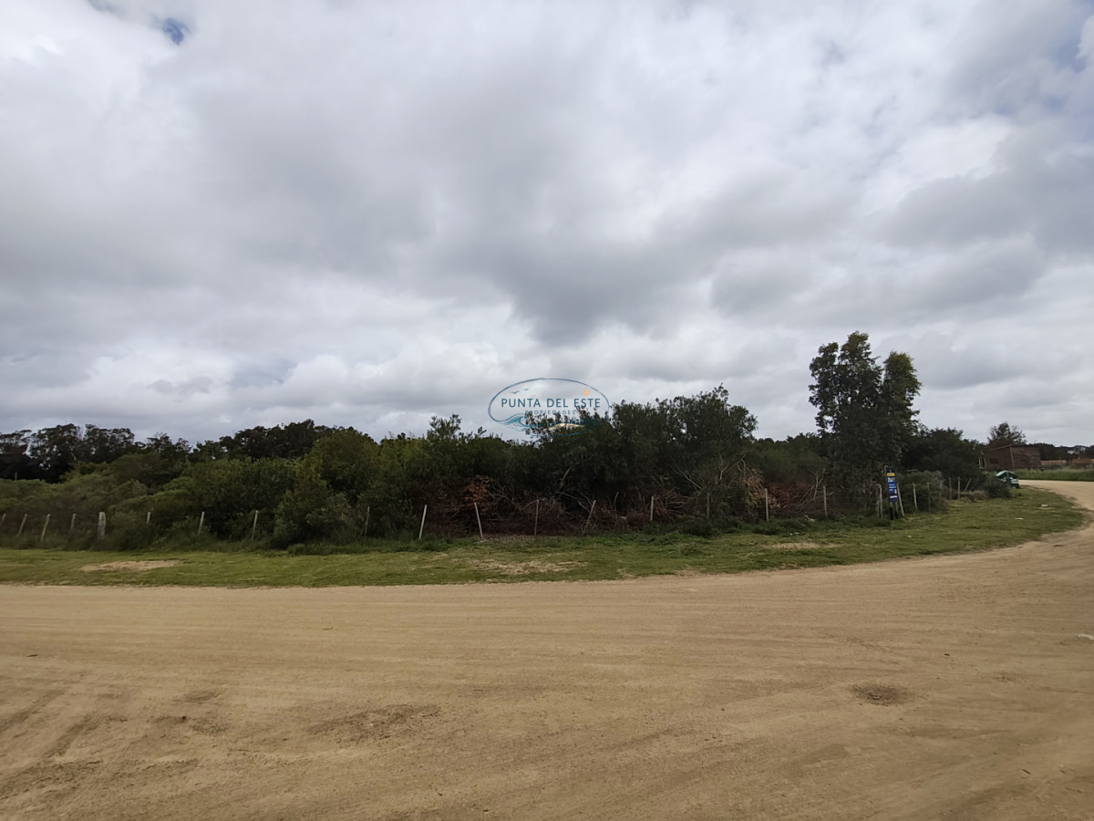 Terreno ID.169 - Gran terreno en venta. Sauce de Portezuelo, Punta Ballena.
