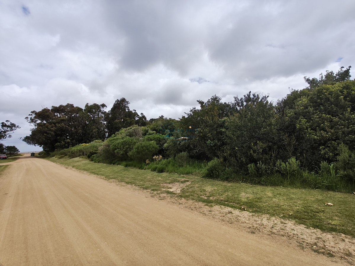 Terreno ID.169 - Gran terreno en venta. Sauce de Portezuelo, Punta Ballena.