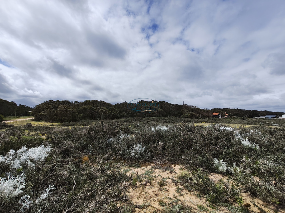 Terreno ID.169 - Gran terreno en venta. Sauce de Portezuelo, Punta Ballena.