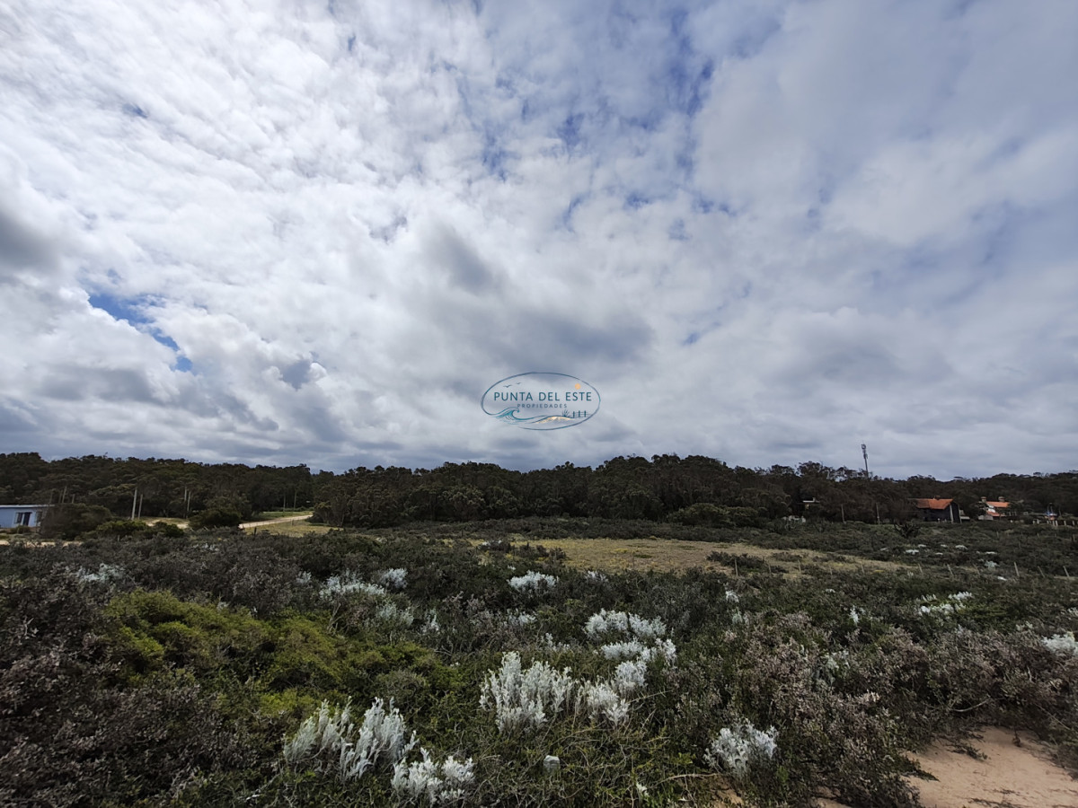 Terreno ID.169 - Gran terreno en venta. Sauce de Portezuelo, Punta Ballena.