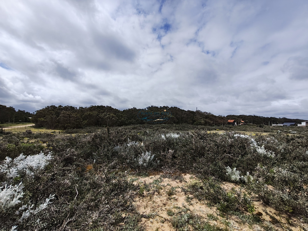 Terreno ID.169 - Gran terreno en venta. Sauce de Portezuelo, Punta Ballena.