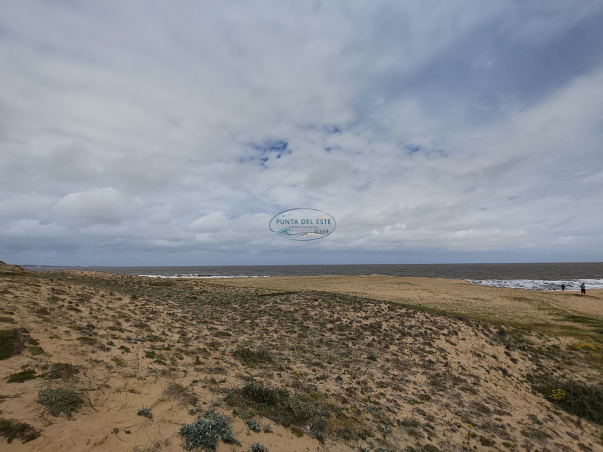 Terreno ID.169 - Gran terreno en venta. Sauce de Portezuelo, Punta Ballena.