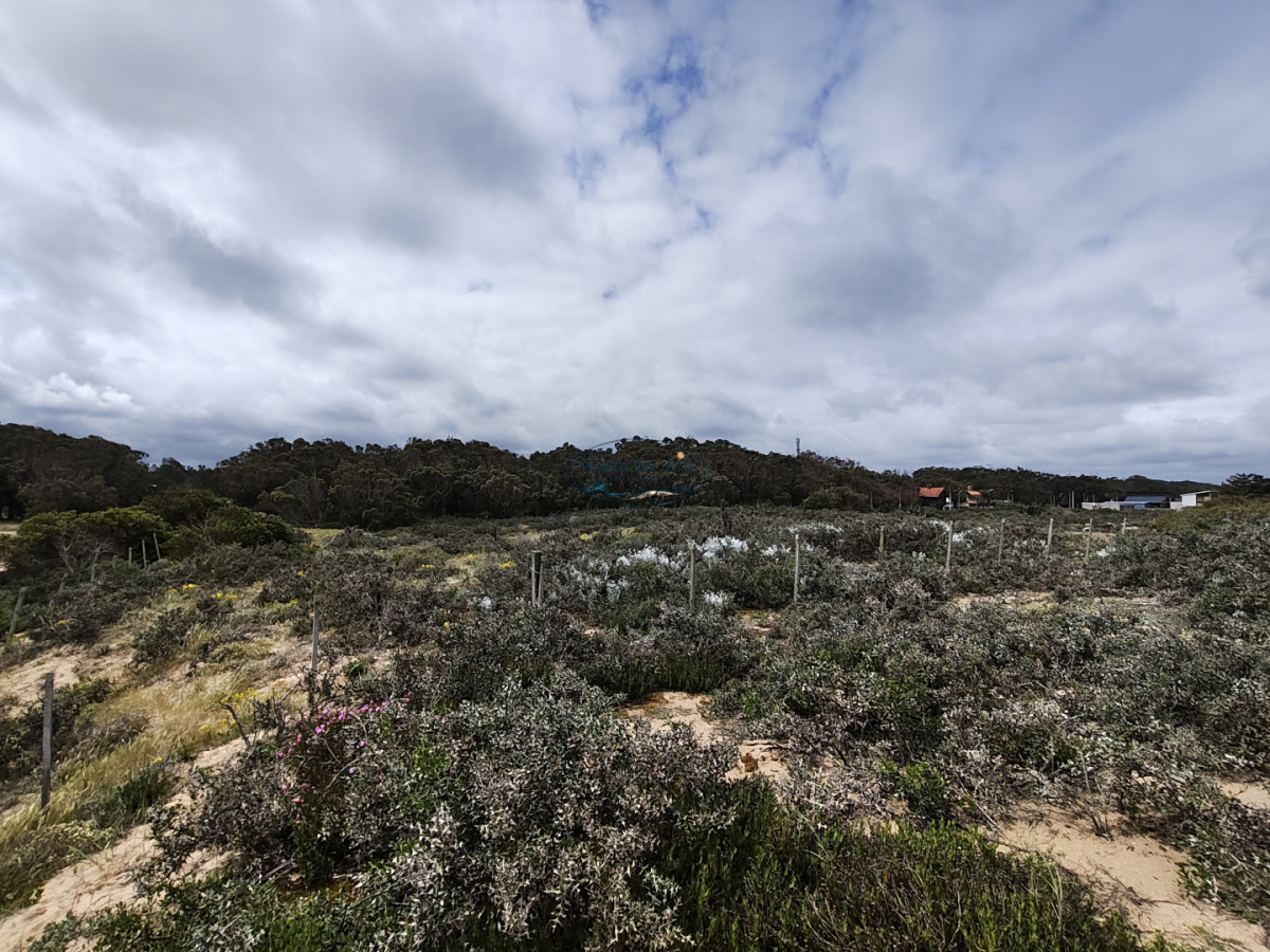 Terreno ID.169 - Gran terreno en venta. Sauce de Portezuelo, Punta Ballena.