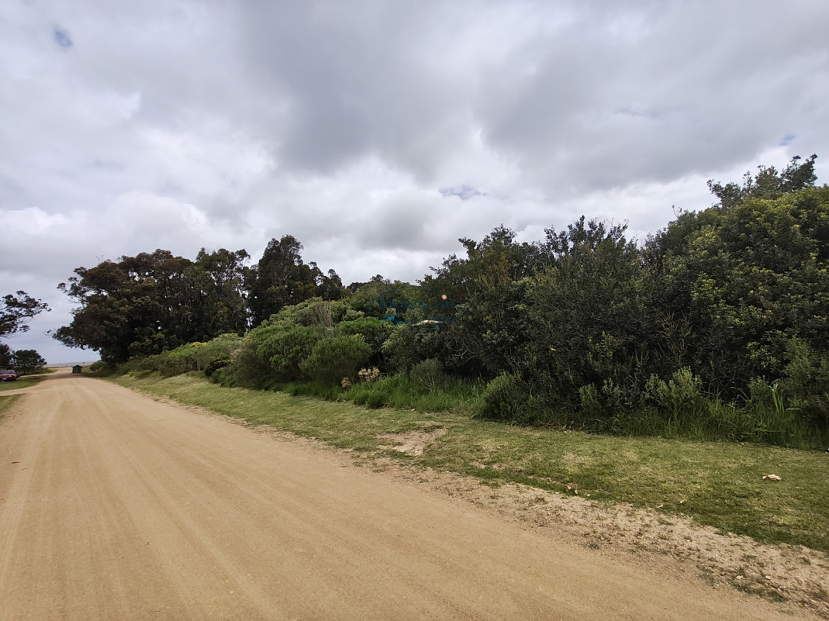 Terreno ID.169 - Gran terreno en venta. Sauce de Portezuelo, Punta Ballena.