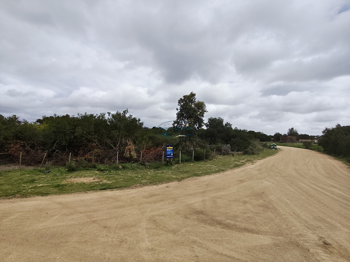 Terreno ID.169 - Gran terreno en venta. Sauce de Portezuelo, Punta Ballena.