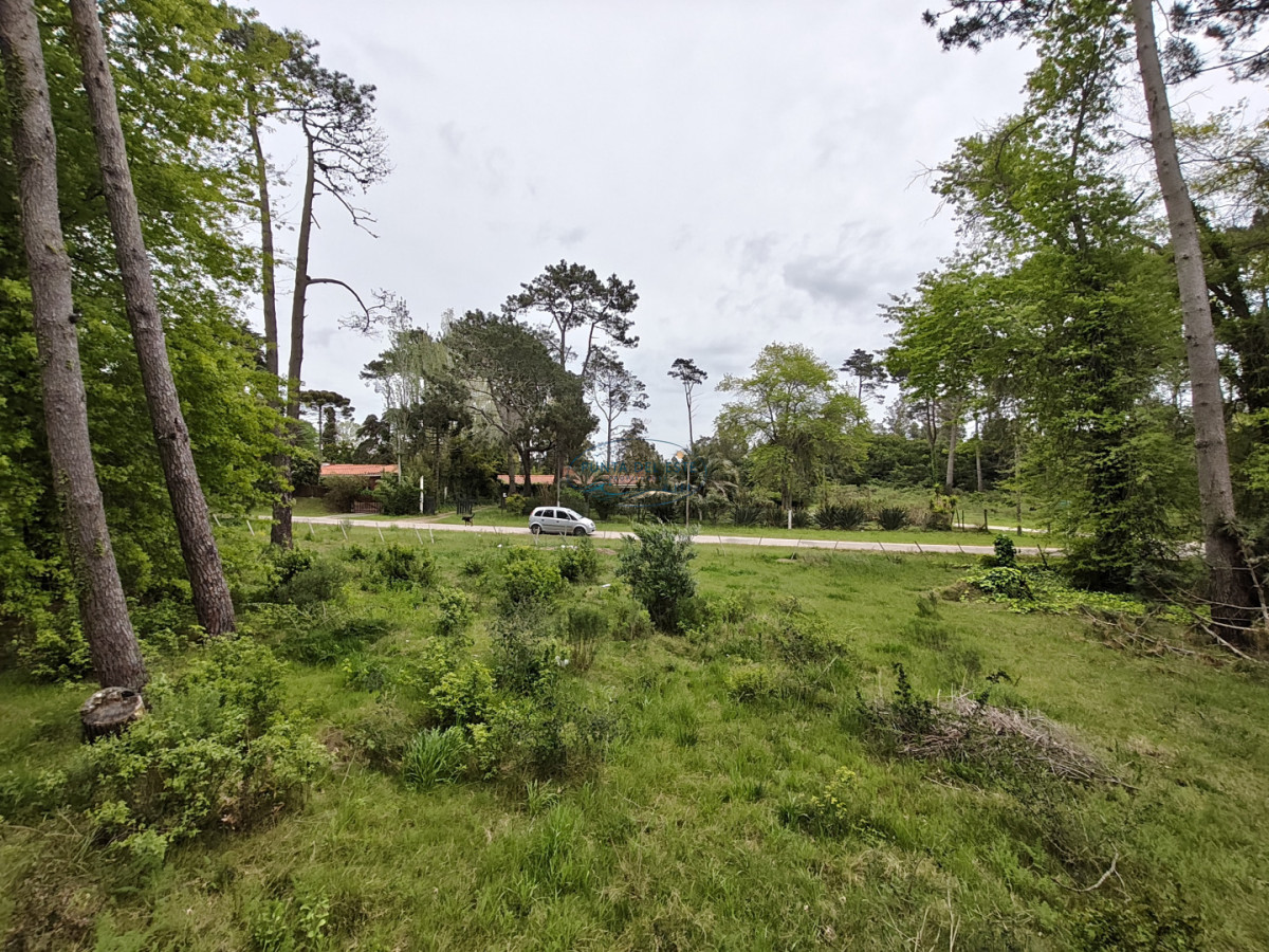 Apartamento ID.191 - Venta terrenos Golf, Punta del Este