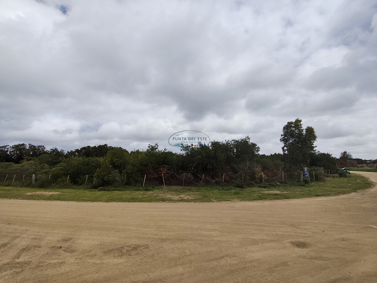 Terreno ID.169 - Gran terreno en venta. Sauce de Portezuelo, Punta Ballena.