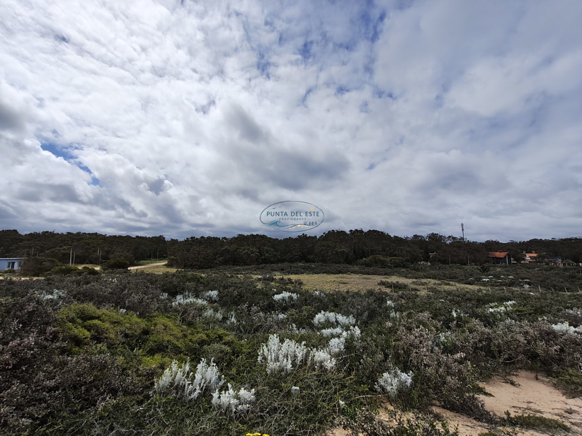 Terreno ID.169 - Gran terreno en venta. Sauce de Portezuelo, Punta Ballena.