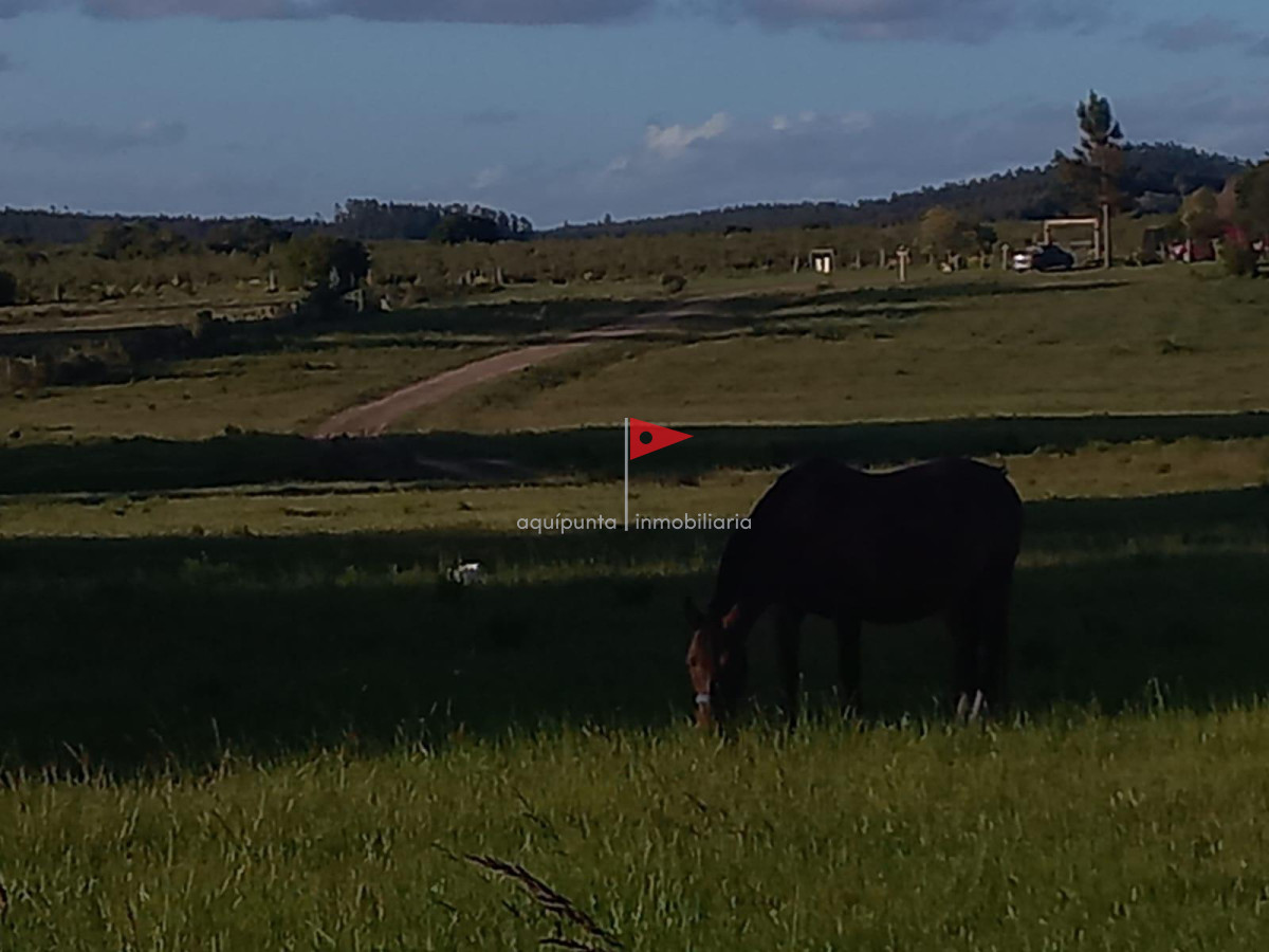 Casa ID.85 - Casa en venta Parque de la ute Minas.