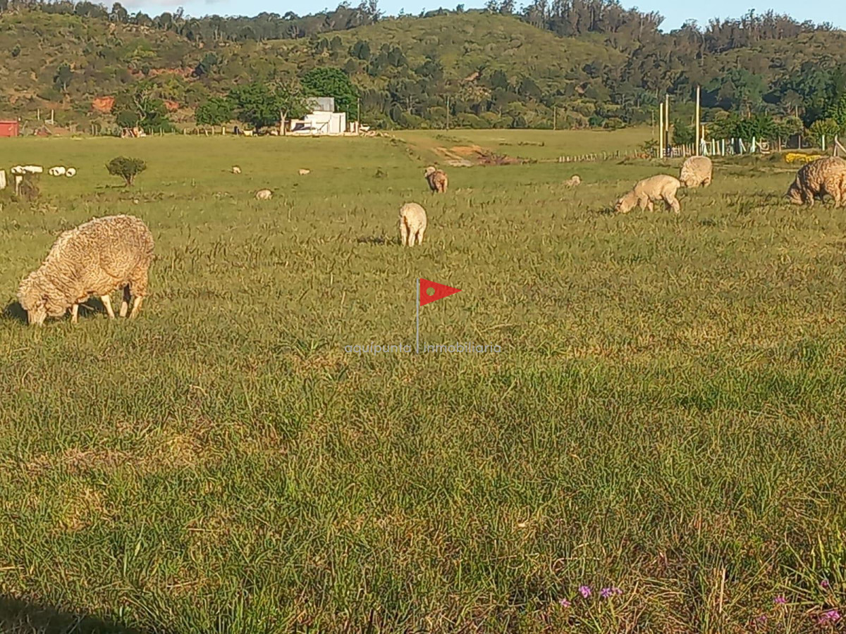 Casa ID.85 - Casa en venta Parque de la ute Minas.