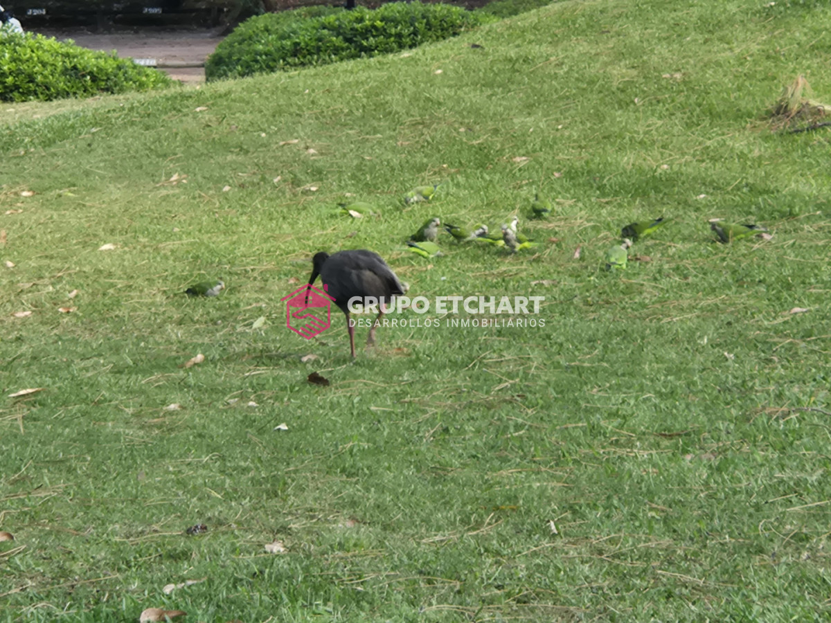 Apartamento ID.196 - Oportunidad en complejo Solanas 