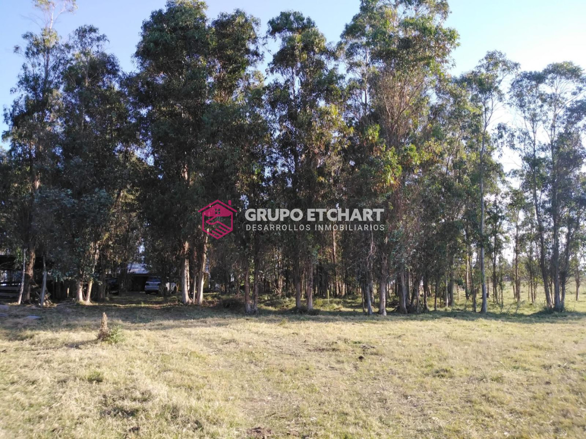 Chacra ID.126 - Chacra en venta Canelones a 6 km de sauce 6 hectáreas