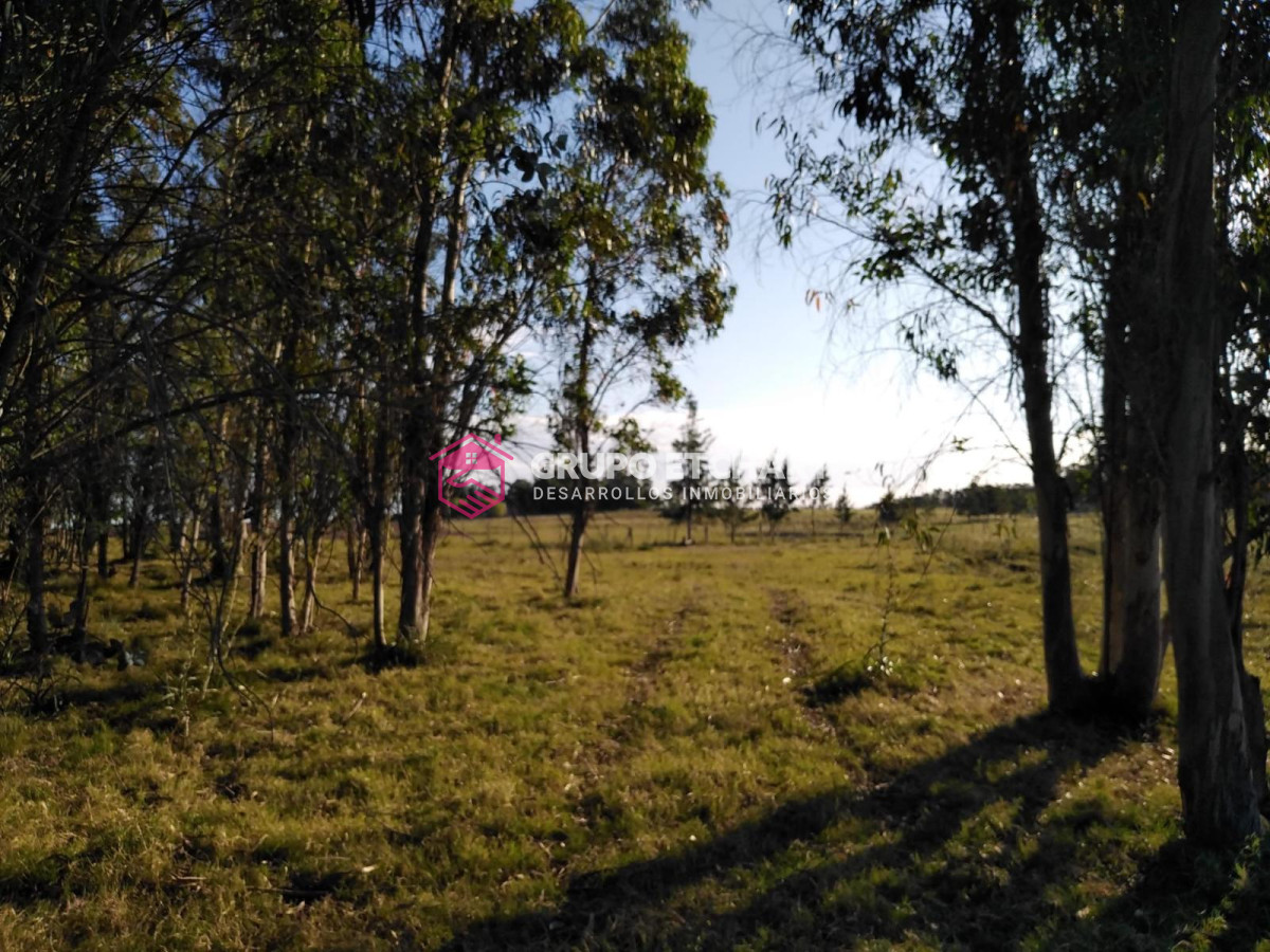 Chacra ID.126 - Chacra en venta Canelones a 6 km de sauce 6 hectáreas