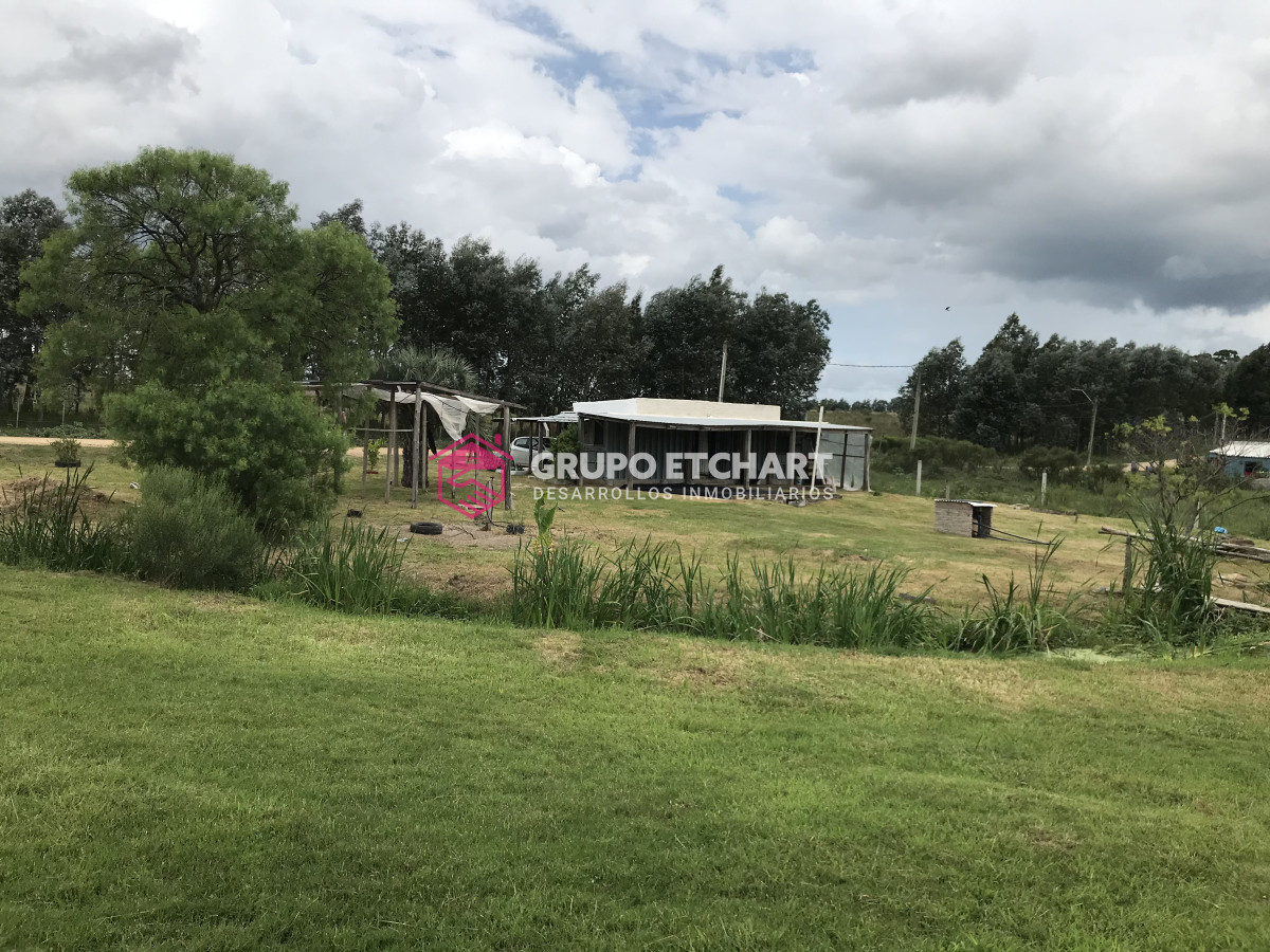 Chacra ID.65 - VENTA Chacra en Rocha