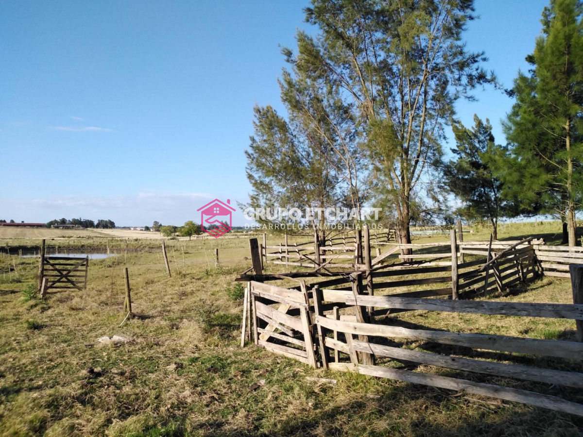 Chacra ID.126 - Chacra en venta Canelones a 6 km de sauce 6 hectáreas