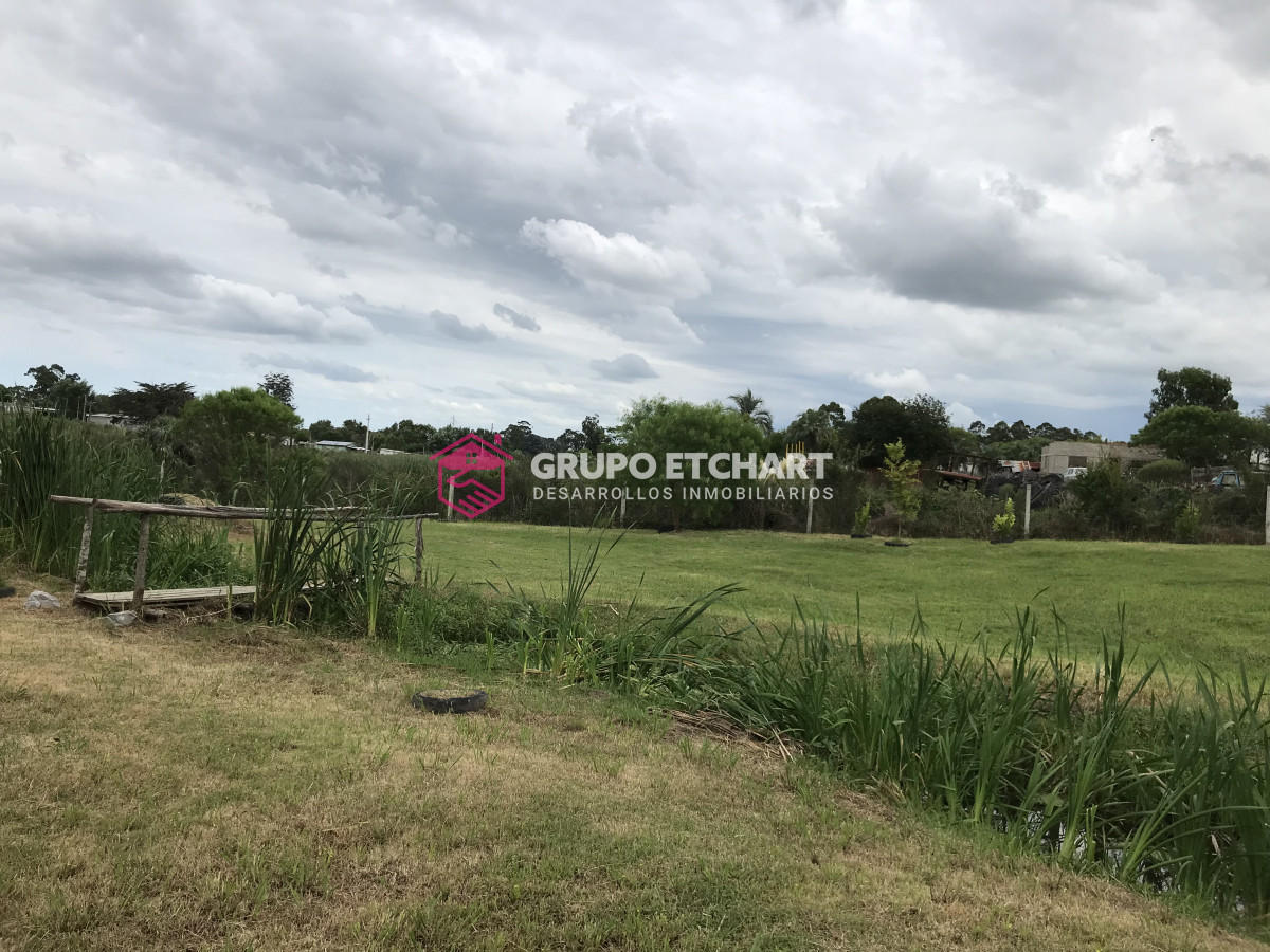 Chacra ID.65 - VENTA Chacra en Rocha