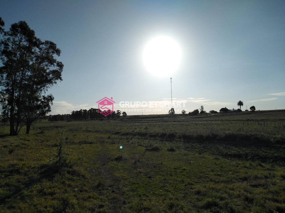 Chacra ID.126 - Chacra en venta Canelones a 6 km de sauce 6 hectáreas
