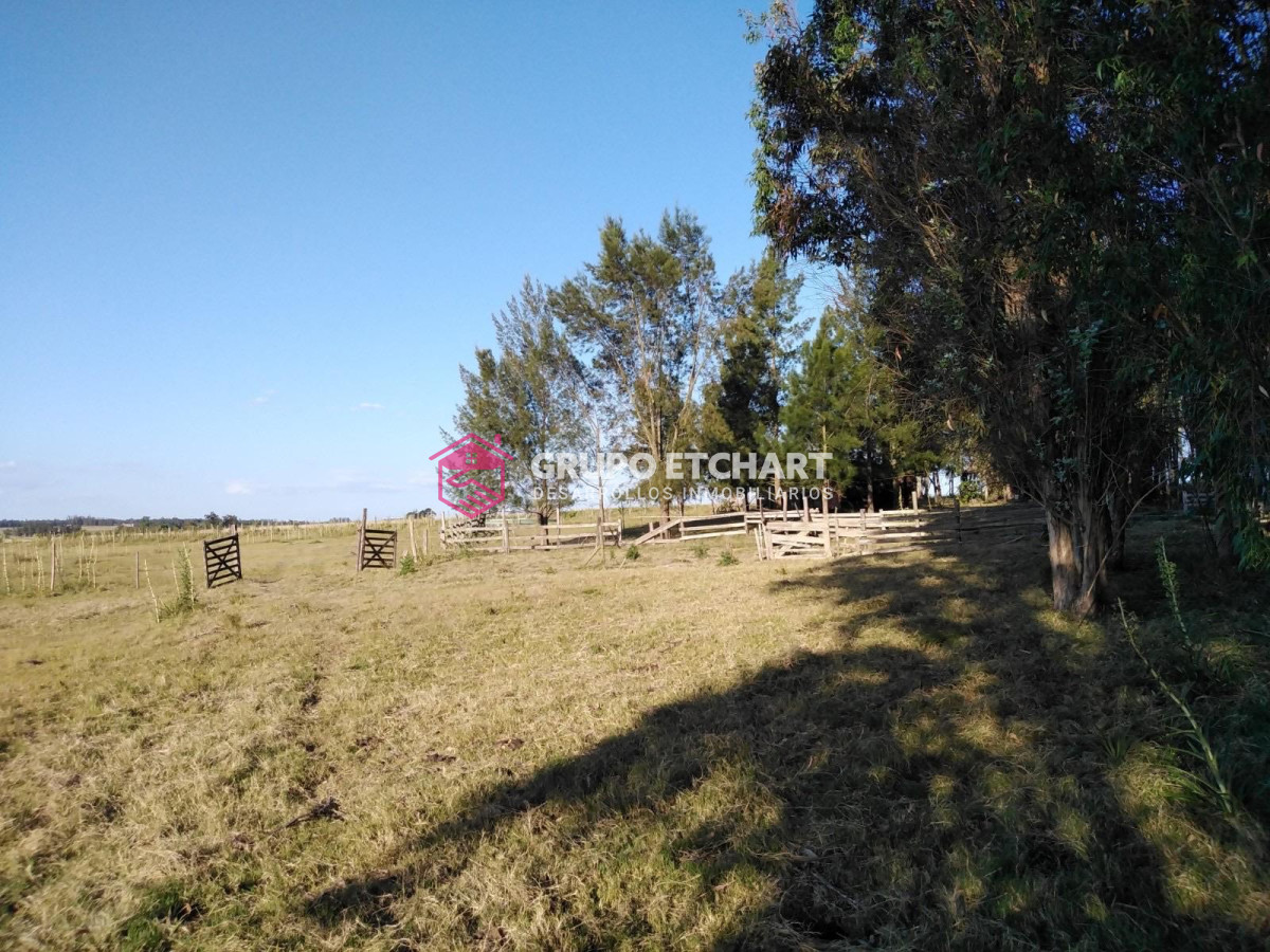 Chacra ID.126 - Chacra en venta Canelones a 6 km de sauce 6 hectáreas