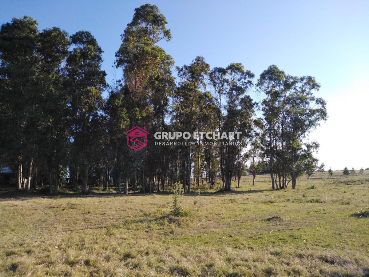 Chacra ID.126 - Chacra en venta Canelones a 6 km de sauce 6 hectáreas