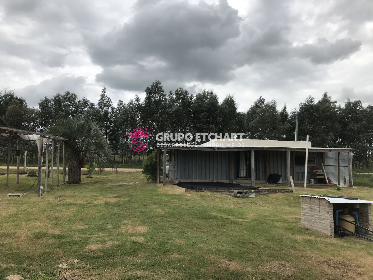 Chacra ID.65 - VENTA Chacra en Rocha
