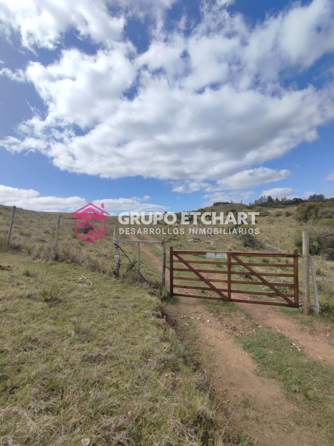 Chacra ID.219 - chacra de 5 has en Lavalleja