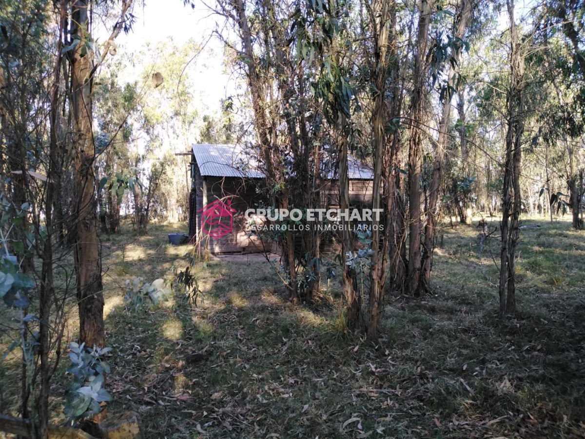 Chacra ID.126 - Chacra en venta Canelones a 6 km de sauce 6 hectáreas