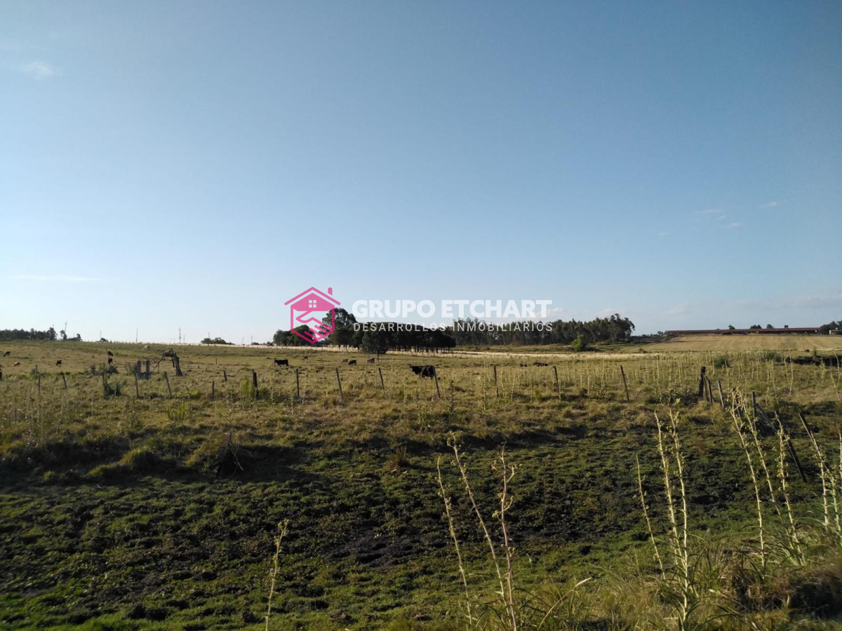 Chacra ID.126 - Chacra en venta Canelones a 6 km de sauce 6 hectáreas