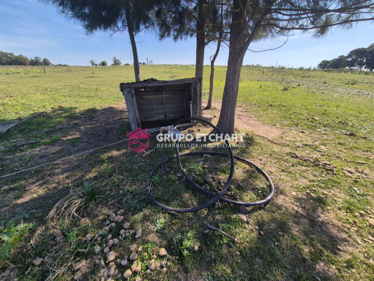 Chacra ID.154 - OPORTUNIDAD CHACRA EN VENTA EN SAUCE CANELONES