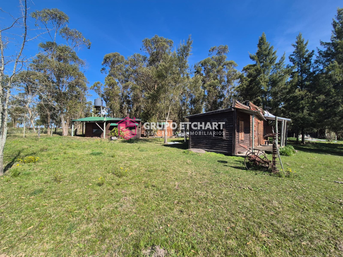 Chacra ID.154 - OPORTUNIDAD CHACRA EN VENTA EN SAUCE CANELONES