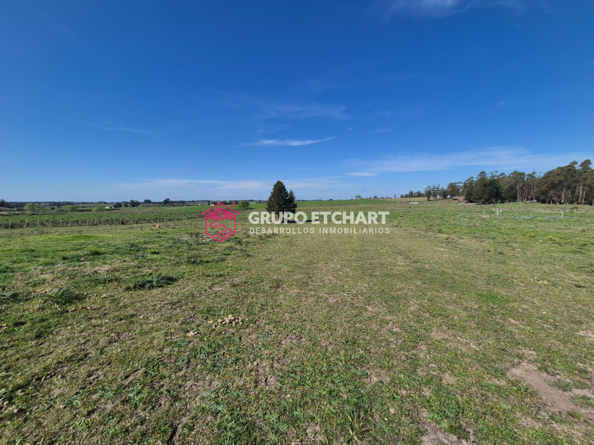 Chacra ID.154 - OPORTUNIDAD CHACRA EN VENTA EN SAUCE CANELONES