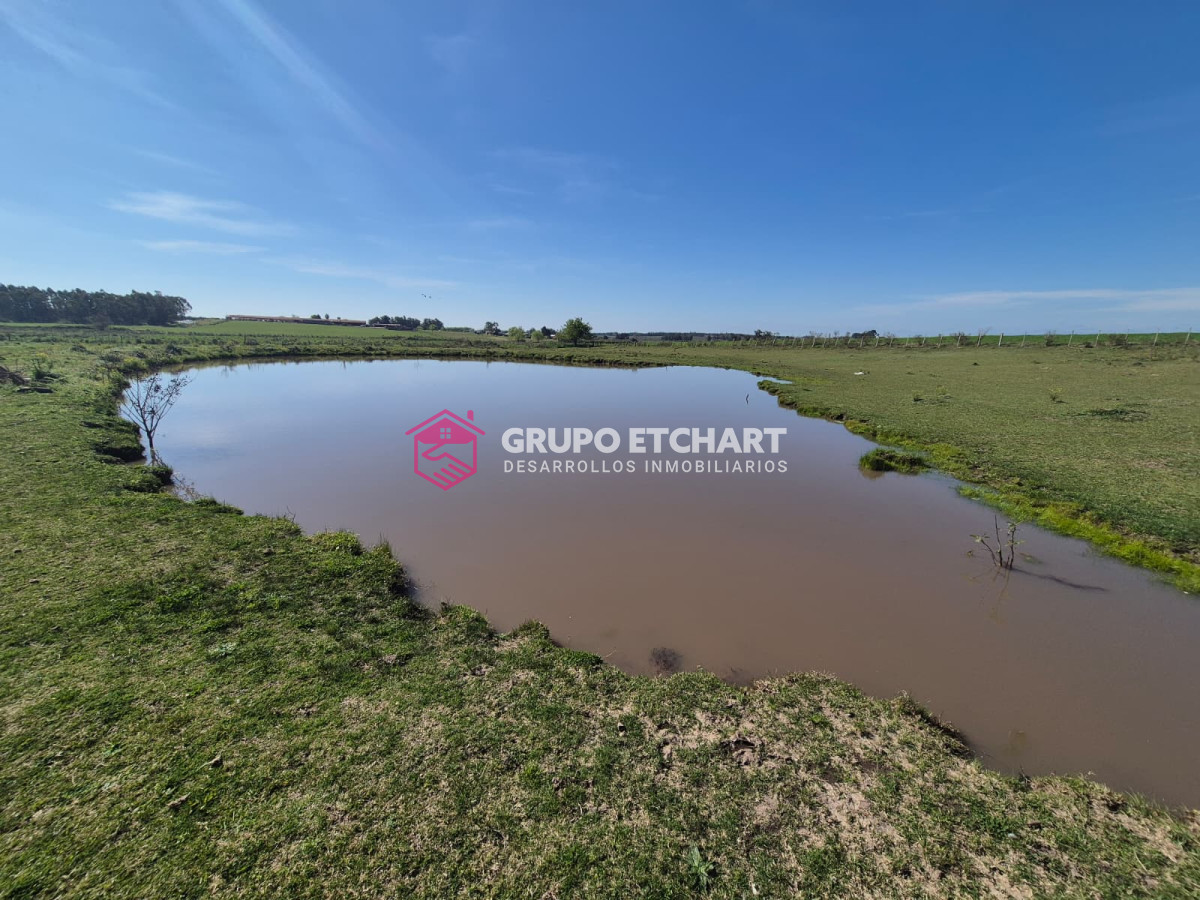 Chacra ID.154 - OPORTUNIDAD CHACRA EN VENTA EN SAUCE CANELONES