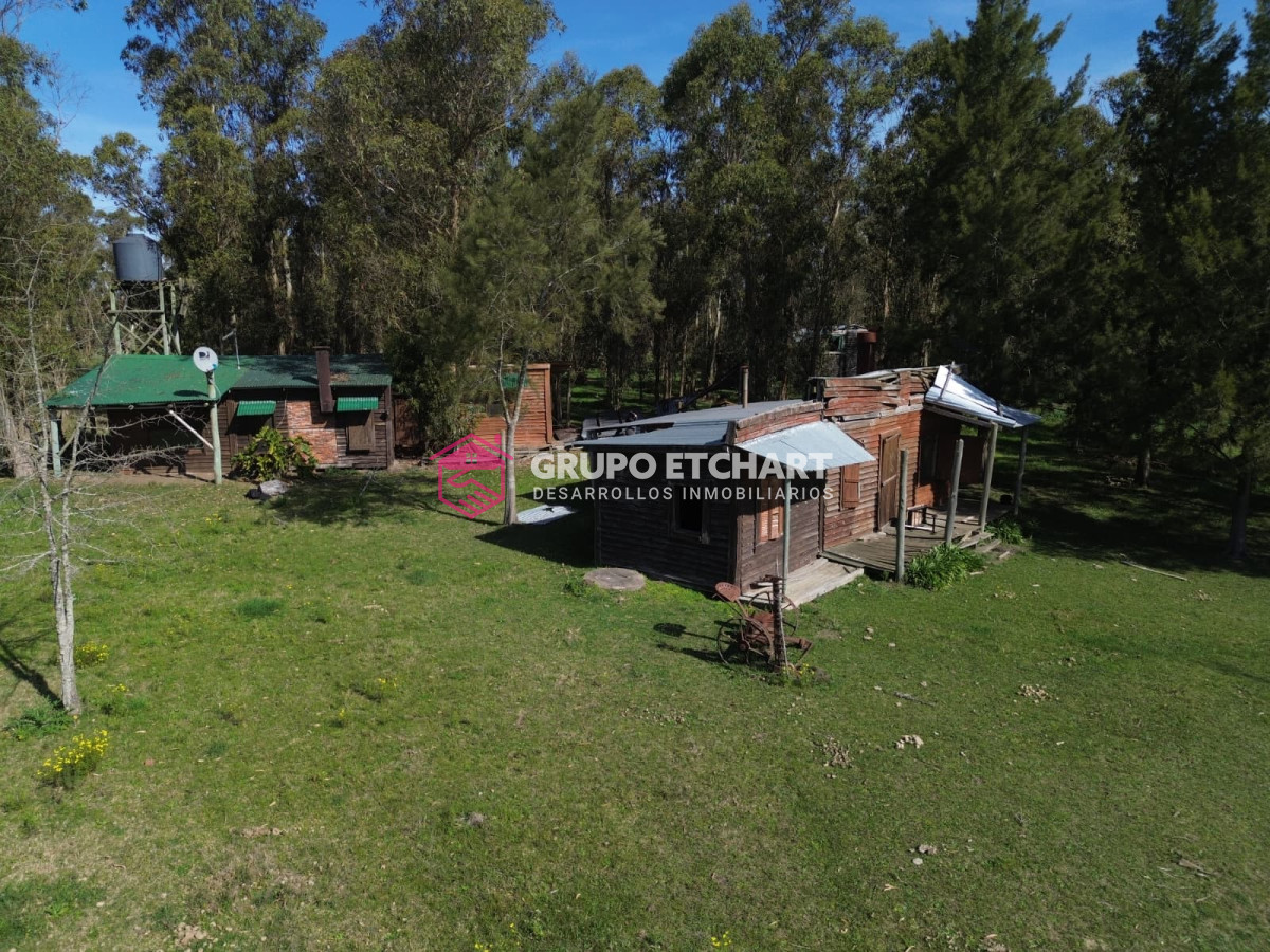 Chacra ID.154 - OPORTUNIDAD CHACRA EN VENTA EN SAUCE CANELONES