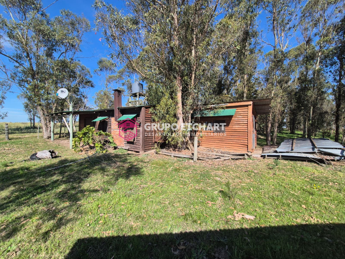 Chacra ID.154 - OPORTUNIDAD CHACRA EN VENTA EN SAUCE CANELONES