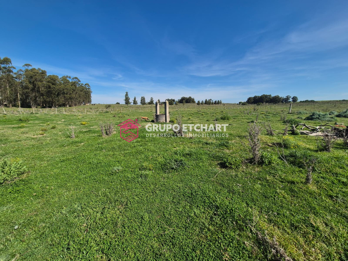 Chacra ID.154 - OPORTUNIDAD CHACRA EN VENTA EN SAUCE CANELONES