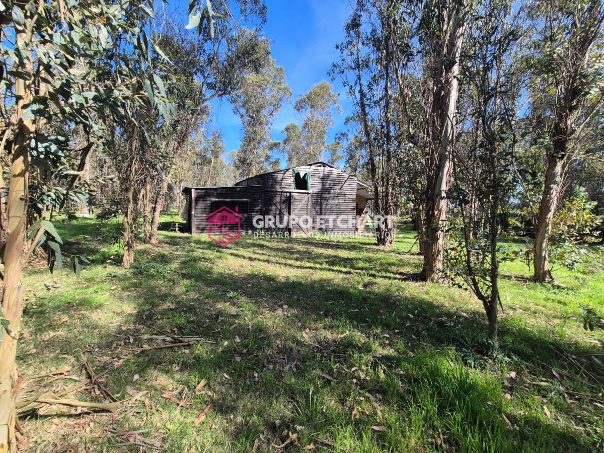 Chacra ID.154 - OPORTUNIDAD CHACRA EN VENTA EN SAUCE CANELONES
