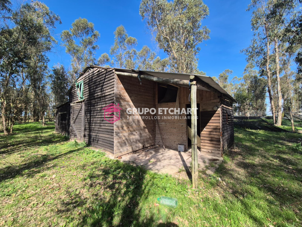 Chacra ID.154 - OPORTUNIDAD CHACRA EN VENTA EN SAUCE CANELONES
