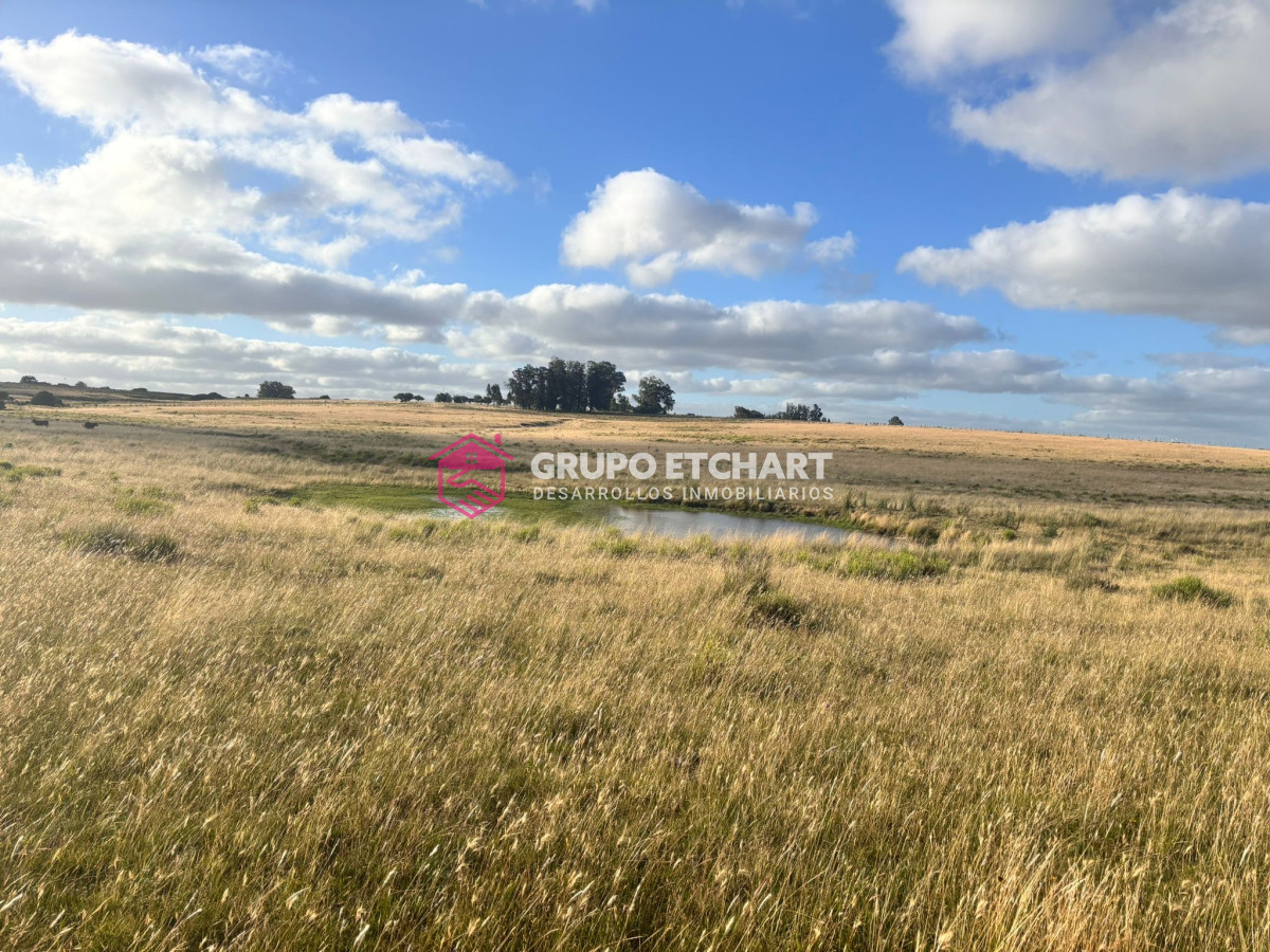 Campo Ref.64 - Campo en José Ignacio: OPORTUNIDAD única