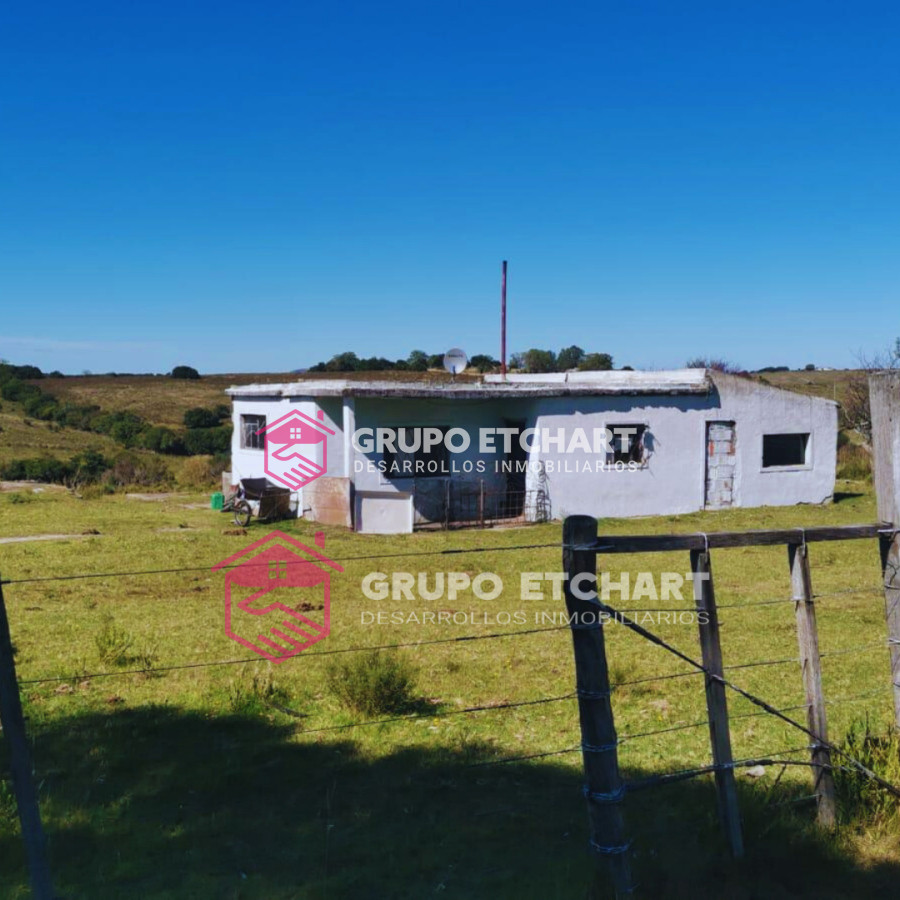 Campo Ref.33 - EN VENTA - CHACRA CON 8 HECTÁREAS - SOBRE RUTA 60