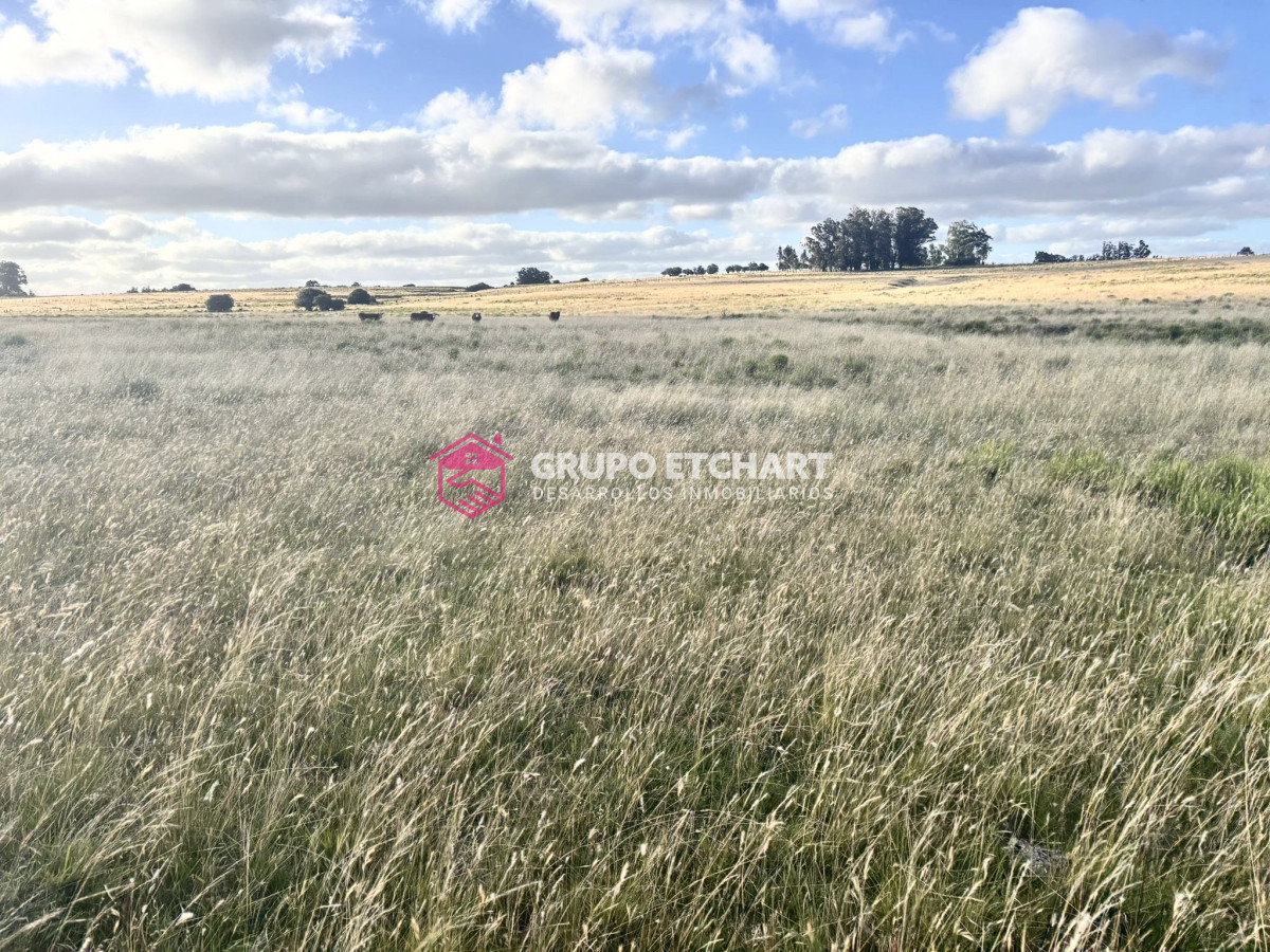 Campo Ref.64 - Campo en José Ignacio: OPORTUNIDAD única