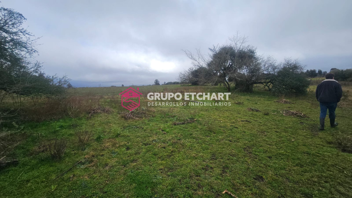 Campo Ref.110 - Oportunidad 