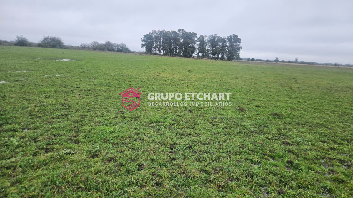Campo Ref.110 - Oportunidad 