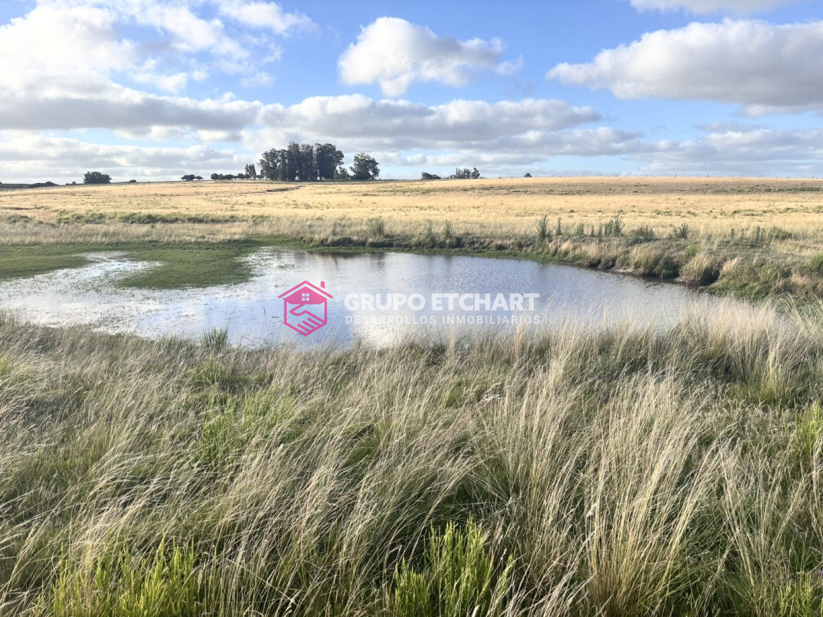 Campo Ref.64 - Campo en José Ignacio: OPORTUNIDAD única